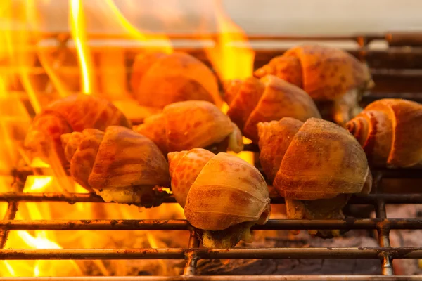 Parrillas de concha de babylon manchadas en llamas, Cocina de parrilla de barbacoa —  Fotos de Stock
