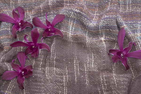 Orchid på bomullstyg, bakgrundsstruktur anf — Stockfoto