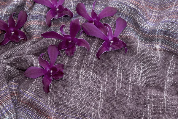 Orchid on cotton fabric — Stock Photo, Image