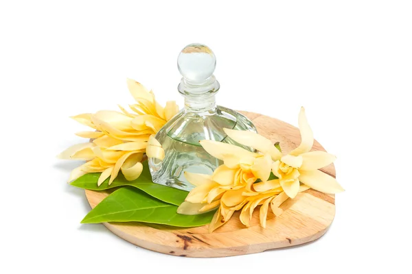 Champaka essential oil decoration for Thai spa setting — Stock Photo, Image