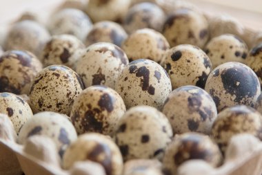 Bıldırcın yumurtası bir kapsayıcı paket ahşap arka plan üzerinde