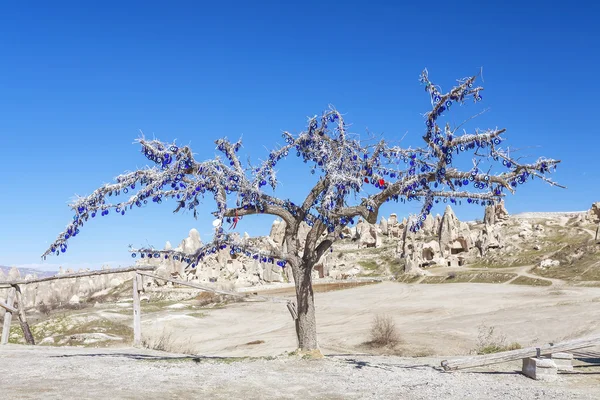 L'albero di fronte alle montagne di Capadocia . — Foto Stock