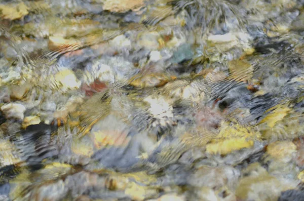 小川のベッドの上の色の小石や石は水を通して見られます リップルは写真を抽象的な色のパターンに分割します — ストック写真