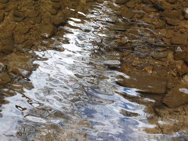 Creek Bed Covered Brown Stones Pebbles Water Clear Ripples Reflecting — Stock Fotó
