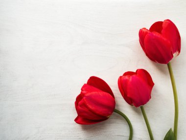 Parlak çiçekler ve yazıt için bir yer.