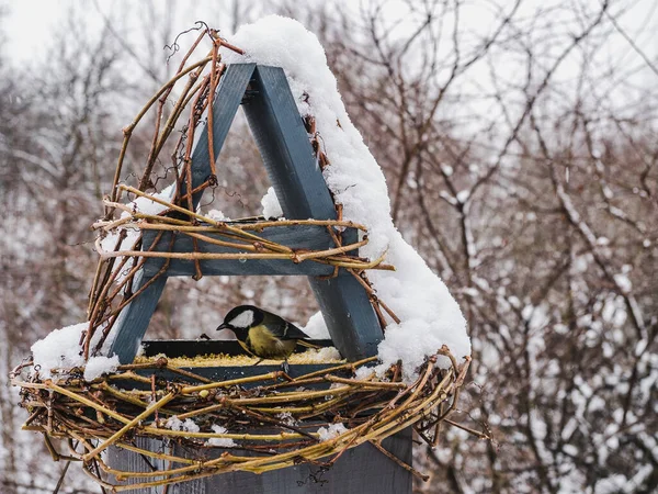 Милі, красиві птахи у плетеній годівниці — стокове фото