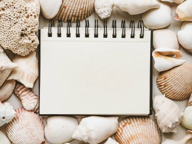 Kumsalda yatan deniz kabukları. Güzel kart