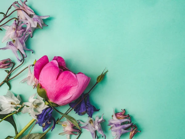 Ljusa Blommor Och Plats För Gratulationer Närbild Uppifrån Inga Människor — Stockfoto