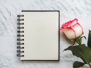 Parlak çiçekler ve tebrik mesajın için bir yer. Yakından bak, yukarıdan bak. İnsan yok. Tatil hazırlığı kavramı. Akrabalar, arkadaşlar ve meslektaşlar için tebrikler.