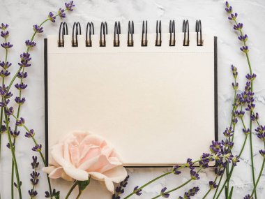 Parlak çiçekler ve tebrik mesajın için bir yer. Yakından bak, yukarıdan bak. İnsan yok. Tatil hazırlığı kavramı. Akrabalar, arkadaşlar ve meslektaşlar için tebrikler.