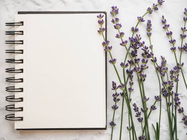 Parlak çiçekler ve tebrik mesajın için bir yer. Yakından bak, yukarıdan bak. İnsan yok. Tatil hazırlığı kavramı. Akrabalar, arkadaşlar ve meslektaşlar için tebrikler.