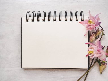 Parlak çiçekler ve tebrik mesajın için bir yer. Yakından bak, yukarıdan bak. İnsan yok. Tatil hazırlığı kavramı. Akrabalar, arkadaşlar ve meslektaşlar için tebrikler.