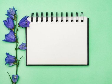 Parlak çiçekler ve tebrik mesajın için bir yer. Yakından bak, yukarıdan bak. İnsan yok. Tatil hazırlığı kavramı. Akrabalar, arkadaşlar ve meslektaşlar için tebrikler.