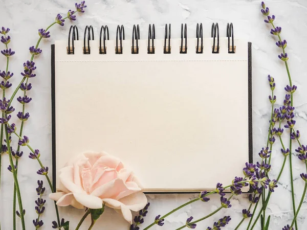 Ljusa Blommor Och Plats För Gratulationer Närbild Uppifrån Inga Människor — Stockfoto