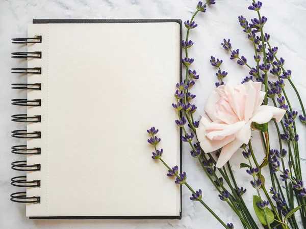 Ljusa Blommor Och Plats För Gratulationer Närbild Uppifrån Inga Människor — Stockfoto