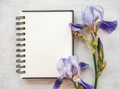 Parlak çiçekler ve tebrik mesajın için bir yer. Yakından bak, yukarıdan bak. İnsan yok. Tatil hazırlığı kavramı. Akrabalar, arkadaşlar ve meslektaşlar için tebrikler.