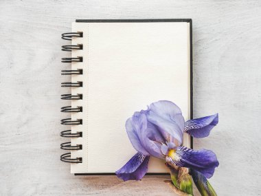 Parlak çiçekler ve tebrik mesajın için bir yer. Yakından bak, yukarıdan bak. İnsan yok. Tatil hazırlığı kavramı. Akrabalar, arkadaşlar ve meslektaşlar için tebrikler.