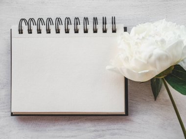 Parlak çiçekler ve tebrik mesajın için bir yer. Yakından bak, yukarıdan bak. İnsan yok. Tatil hazırlığı kavramı. Akrabalar, arkadaşlar ve meslektaşlar için tebrikler.