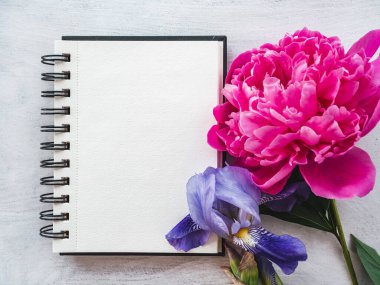 Parlak çiçekler ve tebrik mesajın için bir yer. Yakından bak, yukarıdan bak. İnsan yok. Tatil hazırlığı kavramı. Akrabalar, arkadaşlar ve meslektaşlar için tebrikler.