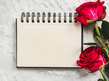 Parlak çiçekler ve tebrik mesajın için bir yer. Yakından bak, yukarıdan bak. İnsan yok. Tatil hazırlığı kavramı. Akrabalar, arkadaşlar ve meslektaşlar için tebrikler.