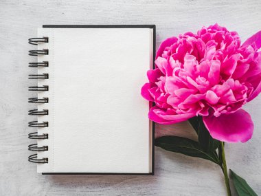 Parlak çiçekler ve tebrik mesajın için bir yer. Yakından bak, yukarıdan bak. İnsan yok. Tatil hazırlığı kavramı. Akrabalar, arkadaşlar ve meslektaşlar için tebrikler.