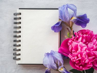 Parlak çiçekler ve tebrik mesajın için bir yer. Yakından bak, yukarıdan bak. İnsan yok. Tatil hazırlığı kavramı. Akrabalar, arkadaşlar ve meslektaşlar için tebrikler.