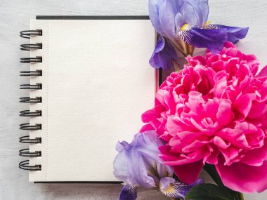 Parlak çiçekler ve tebrik mesajın için bir yer. Yakından bak, yukarıdan bak. İnsan yok. Tatil hazırlığı kavramı. Akrabalar, arkadaşlar ve meslektaşlar için tebrikler.