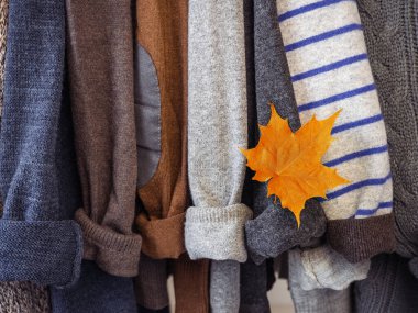 Soyunma odasındaki askılarda sonbahar ve kış giysileri asılı. Kimse yok, yakın plan. Güzellik ve moda kavramı