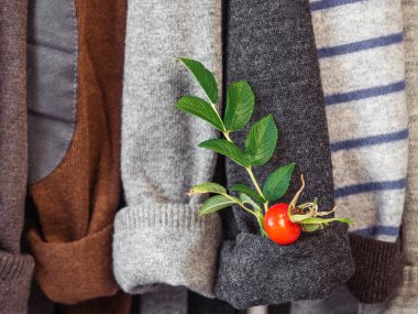Soyunma odasındaki askılarda sonbahar ve kış giysileri asılı. Kimse yok, yakın plan. Güzellik ve moda kavramı