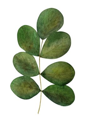 Parlak çiçeklerin ve yeşil dalların güzel suluboya çizimleri. Yakın çekim, insan yok, doku. Sevdikleriniz, akrabalarınız, dostlarınız ve meslektaşlarınız için tebrikler.