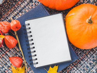 Sarı, pencerenin arka planında parlak yapraklar. Sonbahar temalı güzel bir fotoğraf. Yakın plan, yan görüş. Mevsimleri değiştirme kavramı