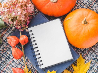 Sarı, pencerenin arka planında parlak yapraklar. Sonbahar temalı güzel bir fotoğraf. Yakın plan, yan görüş. Mevsimleri değiştirme kavramı