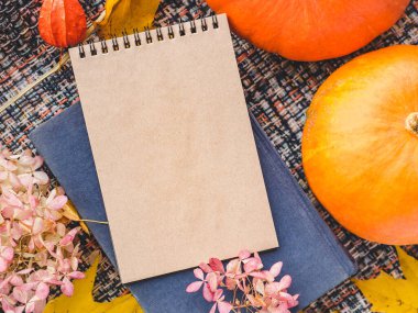 Sarı, pencerenin arka planında parlak yapraklar. Sonbahar temalı güzel bir fotoğraf. Yakın plan, yan görüş. Mevsimleri değiştirme kavramı