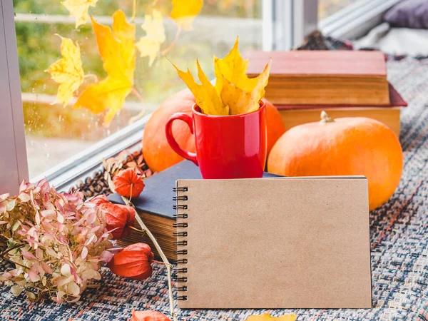 Yellow, bright leaves on the background of the window. A beautiful photo on an autumn theme. Close-up, side view. Concept of changing seasons