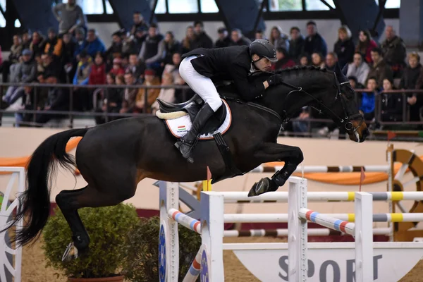 International Jumping Competition — Stock Photo, Image