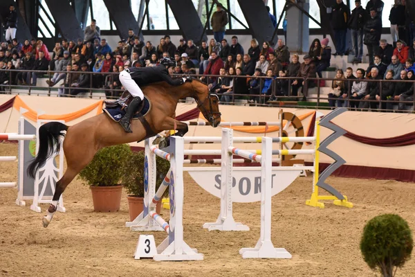 Internationell hoppning konkurrens — Stockfoto