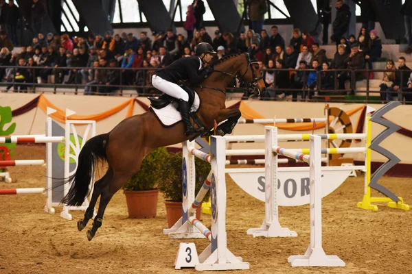 International Jumping Competition — Stock Photo, Image