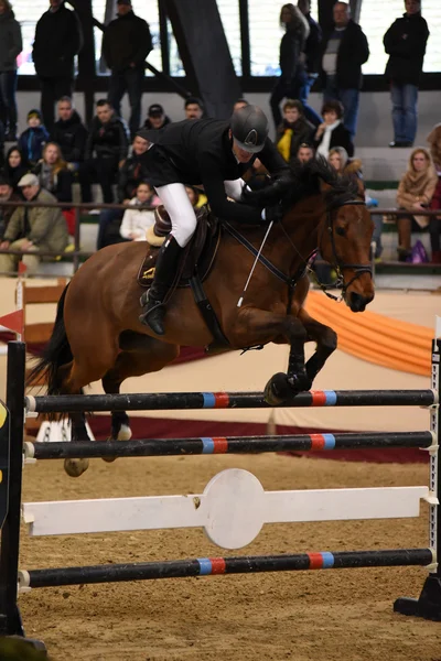 Concours international de saut — Photo