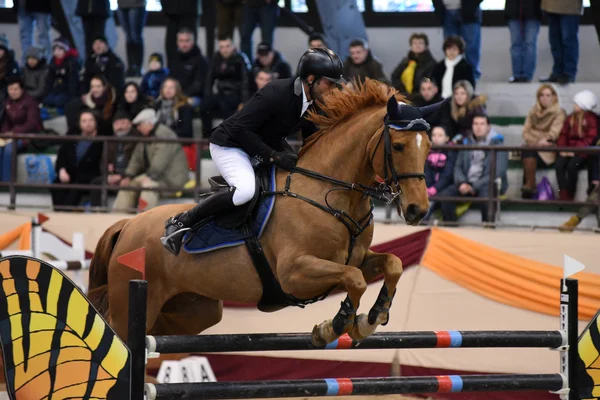 Atlama Yarışması uluslararası