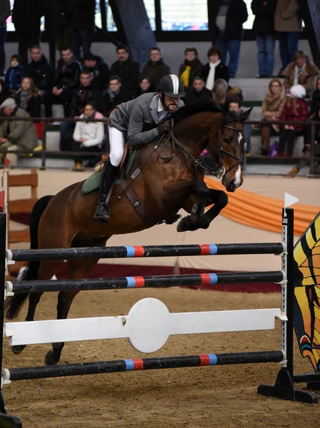 Competição Internacional de Saltos — Fotografia de Stock