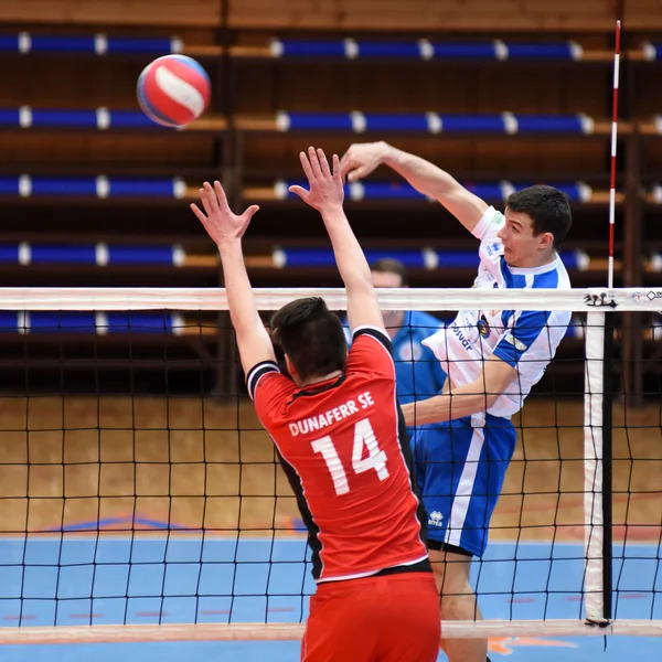 Kaposvar - dunaferr Voleybol oyunu — Stok fotoğraf