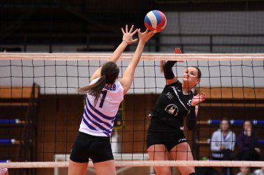 kapalı Voleybol eylem