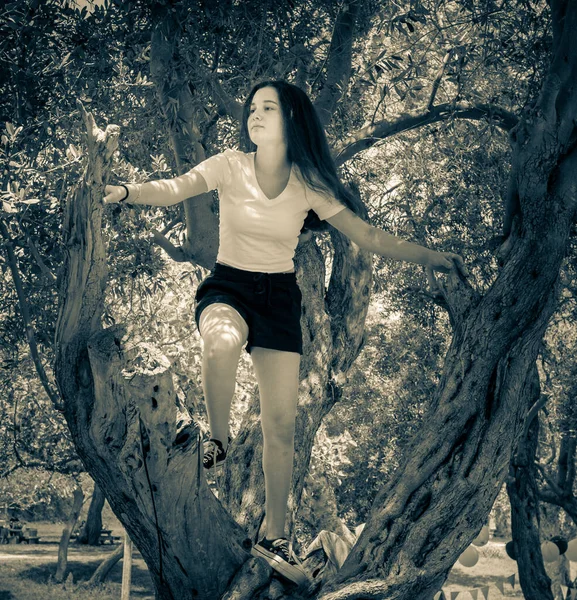 Portrait Une Fille Intéressante Qui Pose Sur Arbre Par Une — Photo