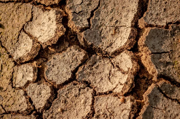 Texture Cracked Earth Drought Lack Water Background Texture — Stock Photo, Image