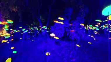 Kudüs Botanik Bahçesinde Işık Festivali