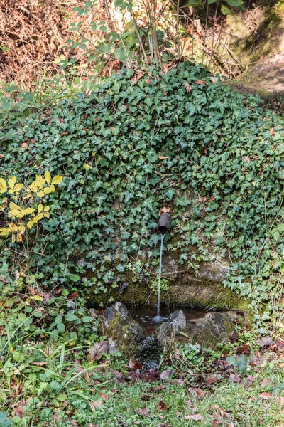 ツタの石の外に小さな魔法の噴水 または水があるところに生命がある — ストック写真