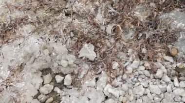 Kuraklık kavramı - su eksikliği, iklim değişikliği ve küresel ısınma. Su krizi, kurumuş göl, göl ya da nehir. Ekolojik felaket. Su seviyesi düşük. Çevre kirliliği, ekolojik felaket. Tam