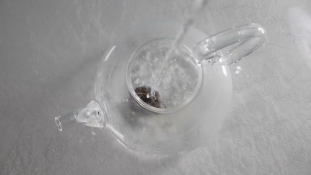 Κάτοψη του τσαγιού ζυθοποιίας με βραστό νερό σε φωτεινό φόντο. Φτιάχνω τσάι σε αργή κίνηση. Προσθέτοντας νερό στο λουλούδι τσάι γιασεμί σε γυάλινη τσαγιέρα. Πλήρες hd — Αρχείο Βίντεο