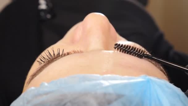 Après la procédure de correction de la forme des sourcils. Microsaignement, maquillage permanent, esthéticienne brossant les sourcils au pinceau. Clinique de beauté. Une jeune femme reçoit un traitement facial. Vidéo 4 k — Video