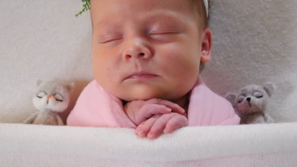 Jeune fille en costume, robe élégante dormant dans un petit lit joliment décoré de fleurs. Bébé étant en studio photo. Tournage dans les coulisses de la photographie des nouveau-nés. Vidéo 4 k — Video